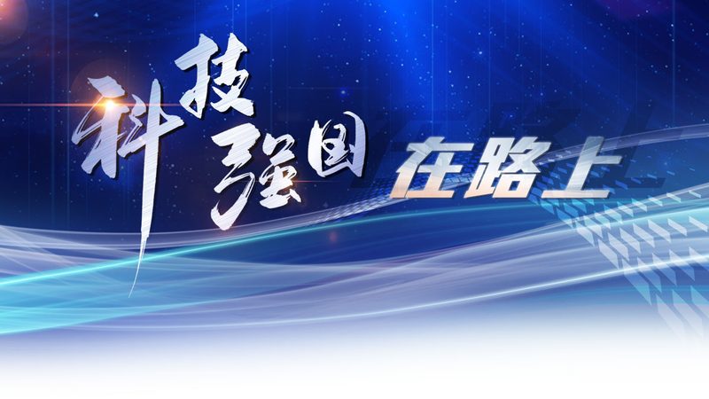 合同里的报价条款，藏着外包项目七成的坑
